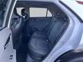 Kia Niro Spirit 1.6 PHEV 126 KW +Technologie Glasdach Relax Weiß - thumbnail 14