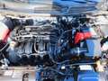 Ford Fiesta 1.25 Trend Klima/EFH/ZV-F/Allwetterreifen Blau - thumbnail 16