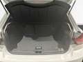 SEAT Ibiza XCellence 1.0 TSI CAM SHZ LED ACC MirrorLink Weiß - thumbnail 9