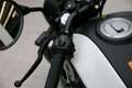 Benelli Leoncino 125, sofort lieferbar, Lieferservice Alb - thumbnail 15