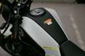 Benelli Leoncino 125, sofort lieferbar, Lieferservice Alb - thumbnail 13