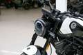 Benelli Leoncino 125, sofort lieferbar, Lieferservice Alb - thumbnail 10