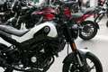 Benelli Leoncino 125, sofort lieferbar, Lieferservice Alb - thumbnail 6