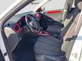 Volkswagen T-Roc 1.5TSI DSG Style LED ACC PDC AppCon Active Weiß - thumbnail 10