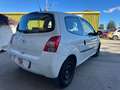 Renault Twingo 1.5*75CV*MANUALE*OK NEOPATENTATI*PRONTA CONSEGNA* Bianco - thumbnail 3