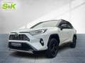 Toyota RAV 4 2.5l Hybrid, 5-Türer, Style Selection*JBL* Wit - thumbnail 1