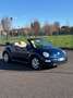Volkswagen New Beetle Cabrio 1.9 tdi 100cv UNICO PROPRIETARIO - thumbnail 4