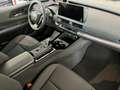 Toyota Prius 2.0 Plug-in Hybrid Lounge PRONTA CONSEGNA! Grey - thumbnail 5