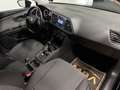 SEAT Leon 1.2 TSI Style | Voll-LED | Car-Play | Sitzheizung Schwarz - thumbnail 17