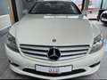 Mercedes-Benz CL 500 CL500*AMG*LEDER*XENON*NAVI Bianco - thumbnail 6