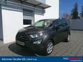 Ford EcoSport 1,0 EcoBoost Trend Grau - thumbnail 1