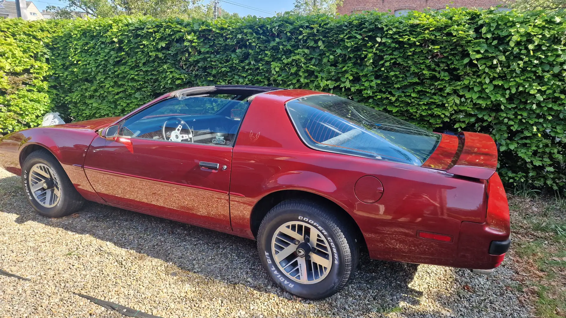 Pontiac Firebird Rojo - 2