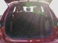 Ford Kuga ST-Line AHK ACC KAM NAVI LED WI-PKT Rot - thumbnail 10