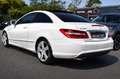 Mercedes-Benz E 50 AMG 250 CDI EXECUTIVE BE BA  AMG Blanco - thumbnail 14