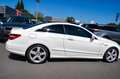 Mercedes-Benz E 50 AMG 250 CDI EXECUTIVE BE BA  AMG Weiß - thumbnail 15
