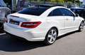 Mercedes-Benz E 50 AMG 250 CDI EXECUTIVE BE BA  AMG Weiß - thumbnail 13