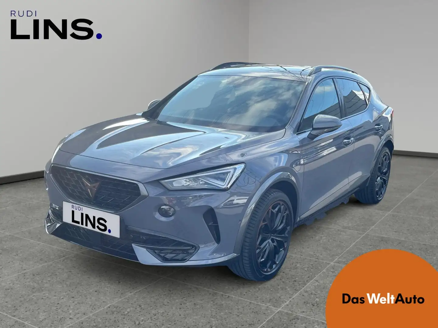 CUPRA Formentor TRIBE VZ e-HYBRID 245 PS DSG Gris - 1
