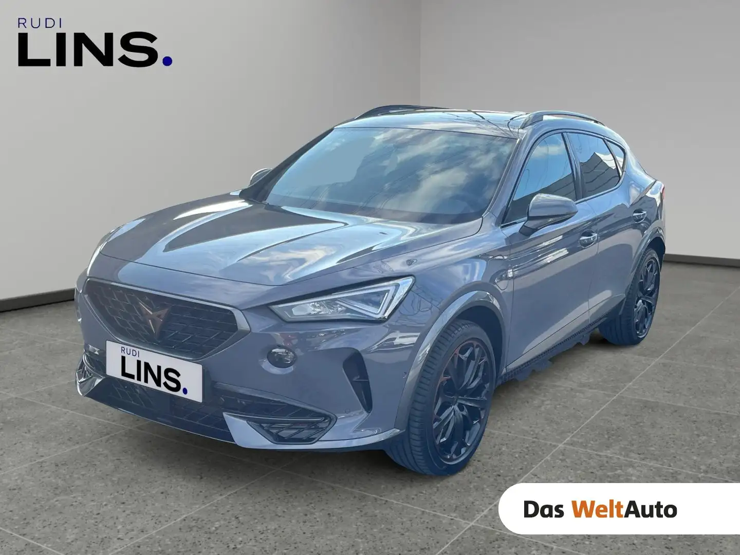 CUPRA Formentor TRIBE VZ e-HYBRID 245 PS DSG Grigio - 1