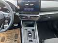 CUPRA Formentor TRIBE VZ e-HYBRID 245 PS DSG Grigio - thumbnail 11