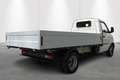 Piaggio Porter NP6 TWB DECK 325 - NIEUW! Weiß - thumbnail 2