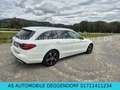 Mercedes-Benz C 300 T- C 300 T  KLIMA SHZ XENON LED KAMERA AUTOMATIK Weiß - thumbnail 6