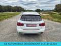 Mercedes-Benz C 300 T- C 300 T  KLIMA SHZ XENON LED KAMERA AUTOMATIK Weiß - thumbnail 13