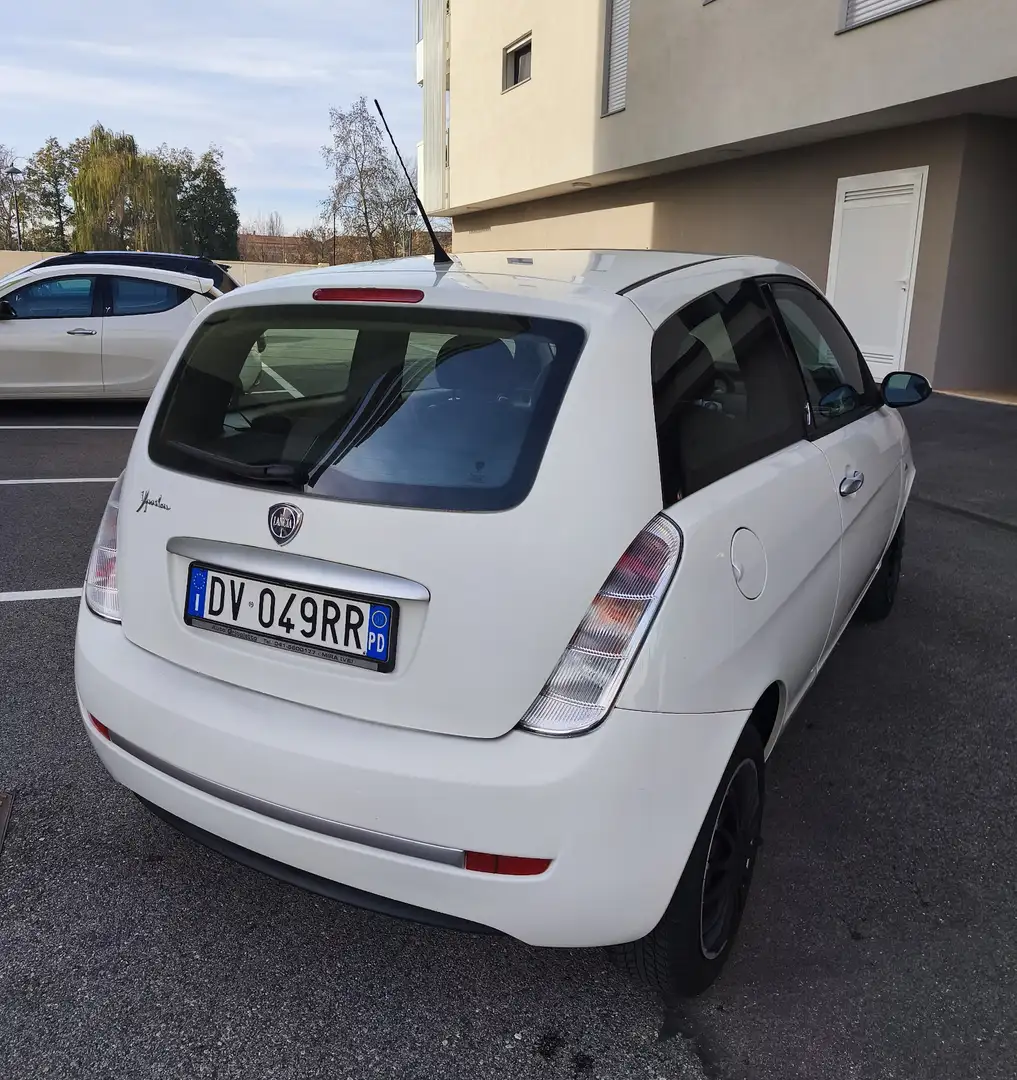 Lancia Ypsilon 1.2 8v New Oro (oro) - 2