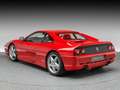 Ferrari F355 Berlinetta Rot - thumbnail 3