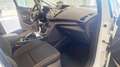 Ford C-Max 1.6 120 CV Plus Gpl Bianco - thumbnail 14