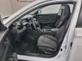 Dongfeng Shine 1.5L DCT E2 Weiß - thumbnail 8