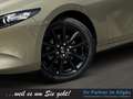 Mazda 3 2024 SKY-X 186 NAGISA BOSE+HEADUP+NAV+SHZ+PDC+ Brun - thumbnail 7