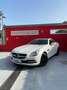Mercedes-Benz SLK 200 BlueEfficiency Biały - thumbnail 5