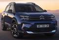 Citroen C5 Aircross BlueHDi S&S Live 130 Gris - thumbnail 9