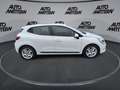 Renault Clio TCe 90 Business Edition /SHZ/EPH/CARPLAY Weiß - thumbnail 6
