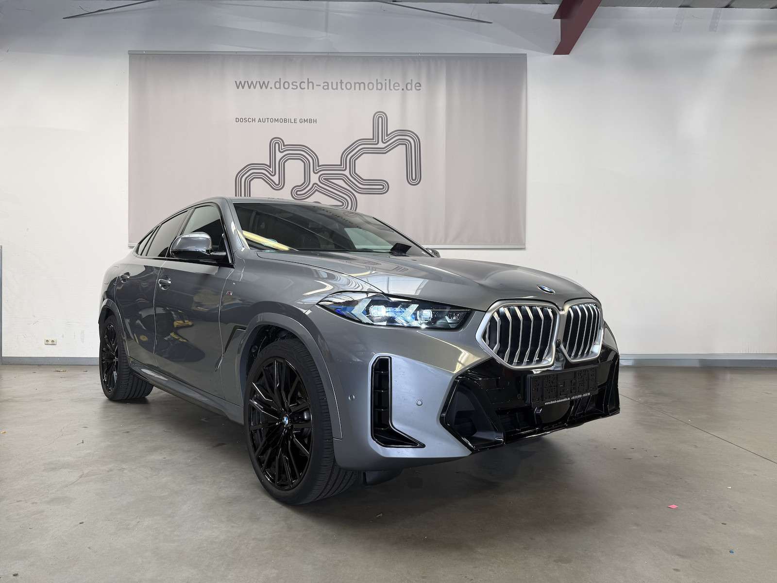 2025 BMW X6