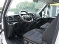Iveco Daily Pritsche 2,3 *56.000 KM!* Weiß - thumbnail 8