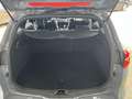 Ford Focus ST 2.0 ECO LEDER  PDC KLIMA ALU NAVI DAB RECARO Grau - thumbnail 6