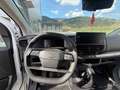 Toyota Proace Max Weiß - thumbnail 12