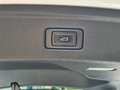 Audi A5 A5 Sportback 2.0 tdi Sport 190cv s-tronic Bianco - thumbnail 24