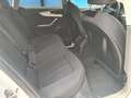 Audi A5 A5 Sportback 2.0 tdi Sport 190cv s-tronic Bianco - thumbnail 20