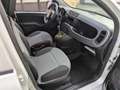 Fiat Panda n.3 panda1.2 Van 2 posti 2 benzina +1 1.3 mjet Blanc - thumbnail 7