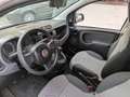 Fiat Panda n.3 panda1.2 Van 2 posti 2 benzina +1 1.3 mjet Blanc - thumbnail 5