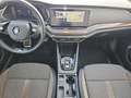 Skoda Octavia Combi 2.0 TDI 4x4 Scout First Edition LM Negro - thumbnail 10
