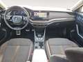 Skoda Octavia Combi 2.0 TDI 4x4 Scout First Edition LM Negro - thumbnail 9