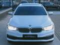 BMW 518 dA 2.0D GPS/LIFE CP PRO/LEDER/PANODAK Bílá - thumbnail 3