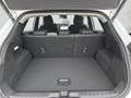 Ford Comfort / KomfortPaket / WinterPaket Alb - thumbnail 15