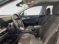 Kia Sportage 1.6 crdi mhev Business dct Verde - thumbnail 7