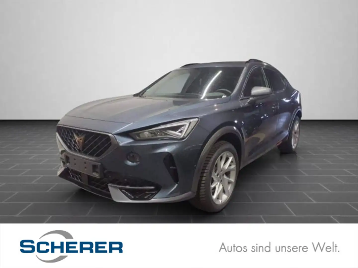CUPRA Formentor 2,0 TDI DSG/4x4/NAVI/LED/Rückfahrkamer Grau - 1