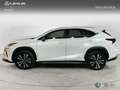 Lexus NX 200t SUV PREMIUM 2WD Weiß - thumbnail 3