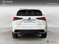 Lexus NX 200t SUV PREMIUM 2WD Weiß - thumbnail 4